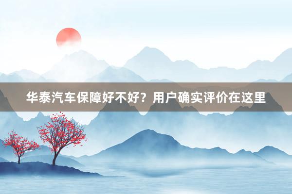 华泰汽车保障好不好？用户确实评价在这里